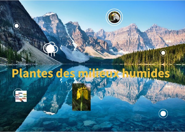 Image interactive nature