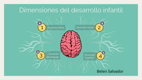 Dimensiones del desarrollo infantil
