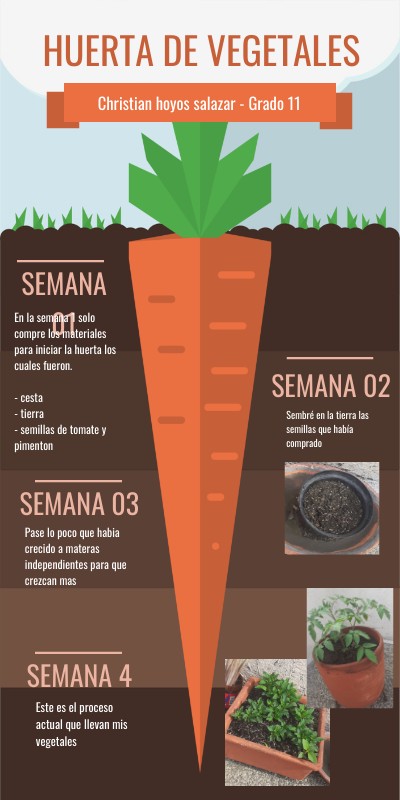 huerta de vegetales | Genially