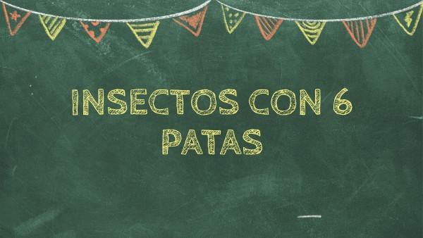 Insectos con 6 patas