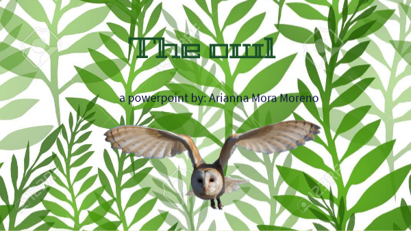 Science proyect 6ºB | Genially
