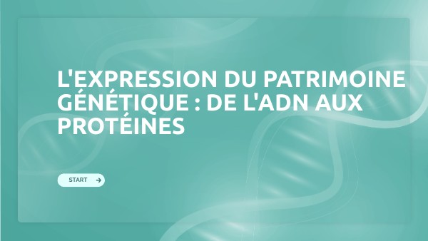 L'expression du patrimoine génétique