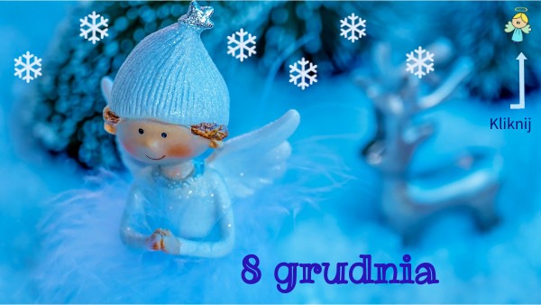 8 grudnia kalendarz