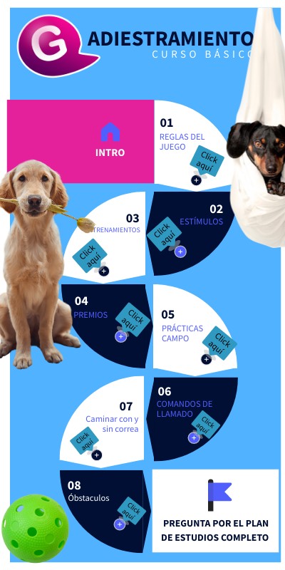 PLAN DE ESTUDIOS | Genially