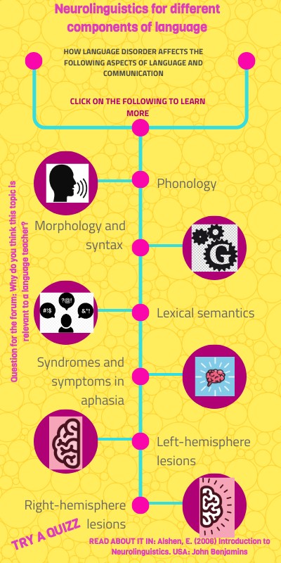 neurolinguistics for different components of language
