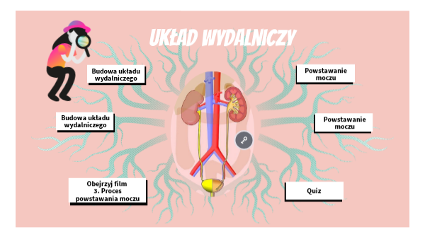 Układ wydalniczy | Genially