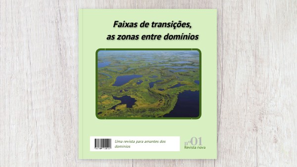 Faixas de transições, as zonas entre domínios | Genially