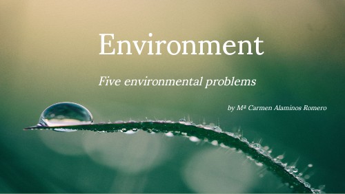 Environment