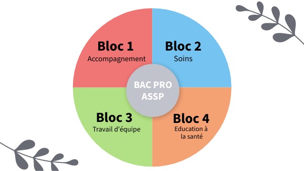 Dossier Projet D'accompagnement Bac Pro Assp Page De Garde BP ASSP