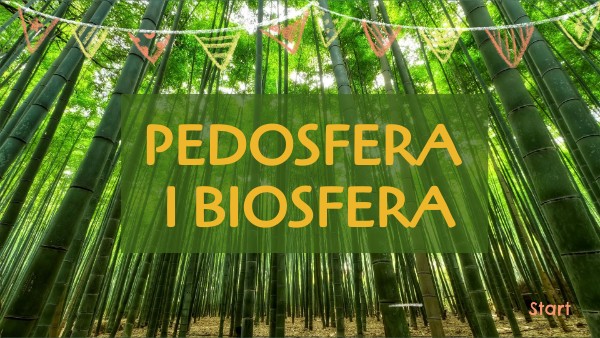 Sprawdzian Pedosfera I Biosfera Planeta Niwa 1 view.genially.com