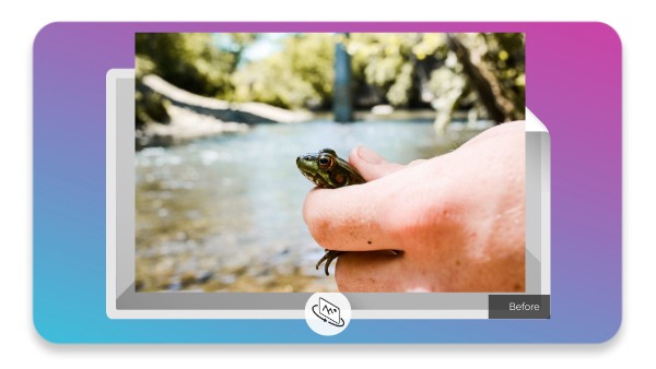 Amphibians - Second Grade | Genially