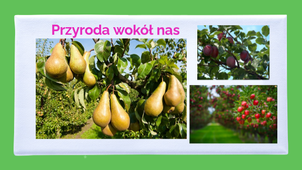 Przyroda Wokół Nas Klasa 6 Sprawdzian Dział 2