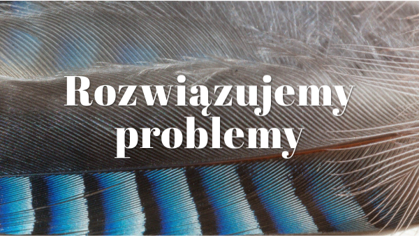 Rozwiązujemy problemy | Genially