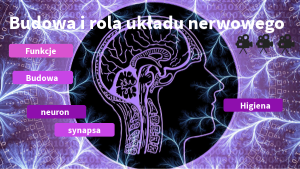 Jaka Jest Rola Układu Nerwowego budowa i rola układu nerwowego