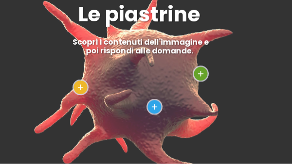 Le piastrine