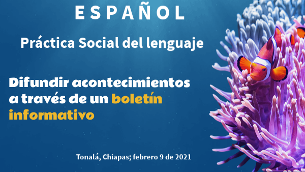 ESPAÑOL BOLETÍN INFORMATIVO
