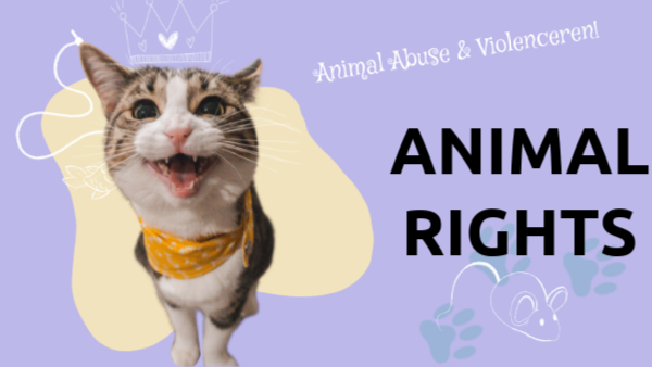 Animal Rights