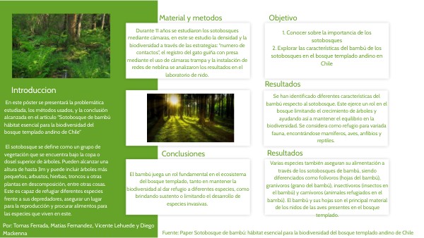 BÁSICO ONE PAGER | Genially