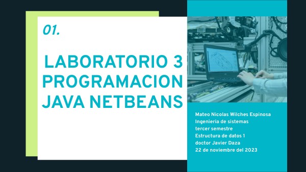 12 programas netbeans y pseint