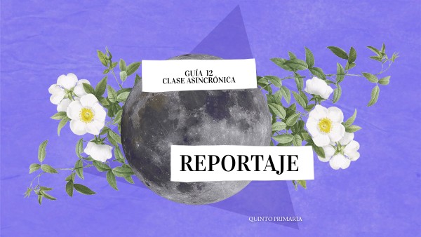 Reportaje | Genially