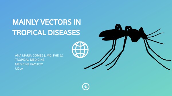VECTOR CLINICAL CASES | Genially