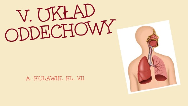 układ oddechowy