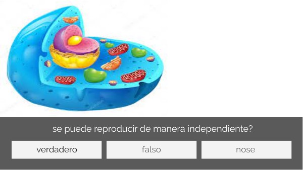 PREGUNTA - RESPUESTA | Genially