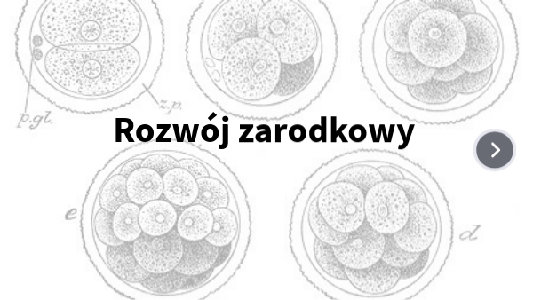 Rozwój zarodkowy | Genially
