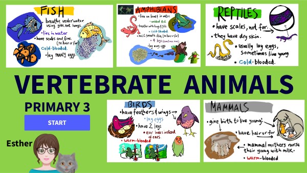 VERTEBRATE ANIMALS | Genially
