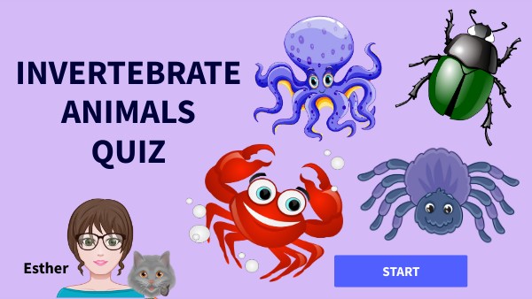 INVERTEBRATE QUIZ | Genially