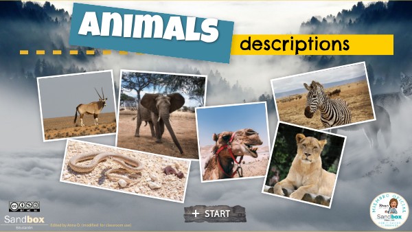 Animals H4 U4 SN '22-23