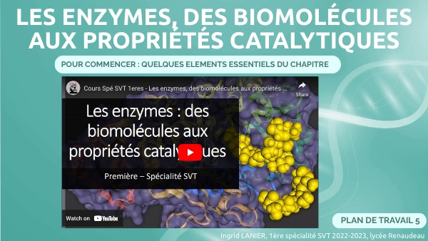Enzymes