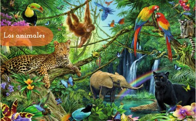 LOS ANIMALES | Genially