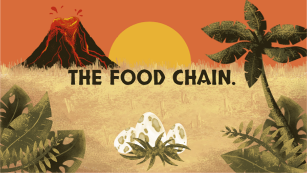 THE FOOD CHAIN