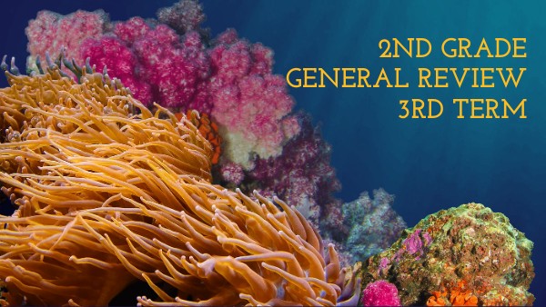 2ND GRADE General Review 1P_2T | Genially
