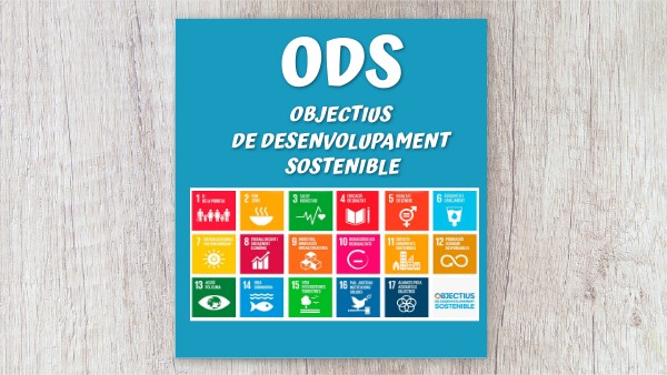 ODS 22-23