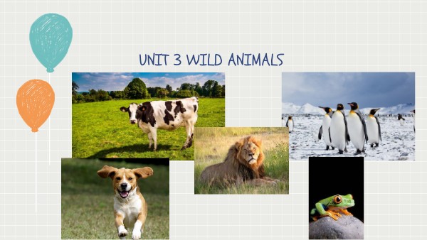 UNIT 3 WILD ANIMALS
