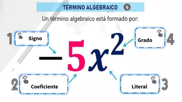 Elementos del Termino