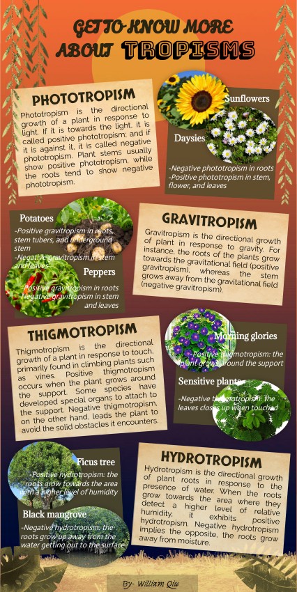 Tropisms