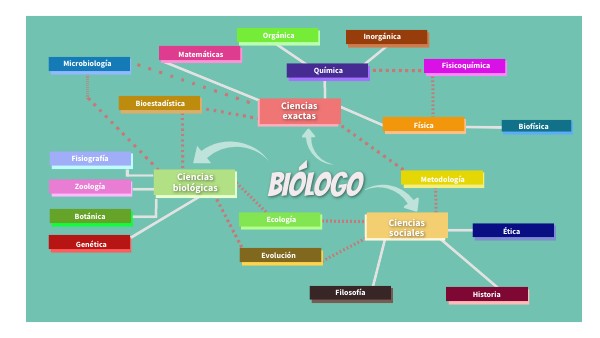 MAPA BIOLOGO
