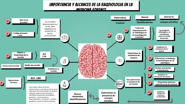 BRAIN MINDMAP | Genially