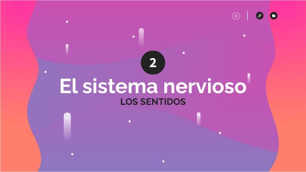 SISTEMA NERVIOSO / Los Sentidos