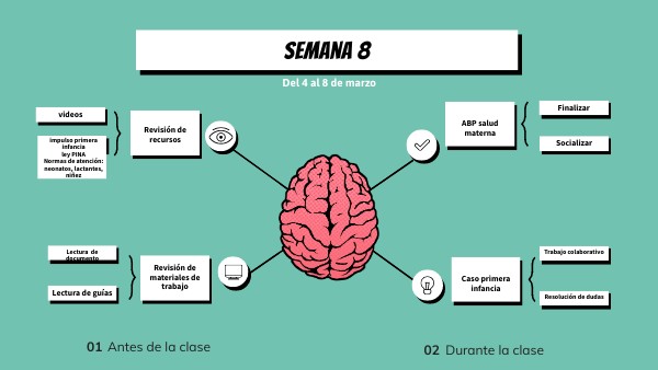 Semana 8 | Genially