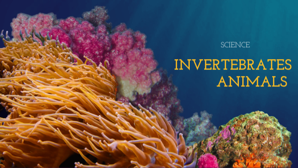 Science: Invertebrates animals | Genially