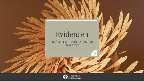 Evidence 1 | Genially