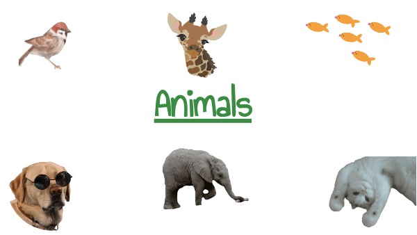 ANIMALS | Genially