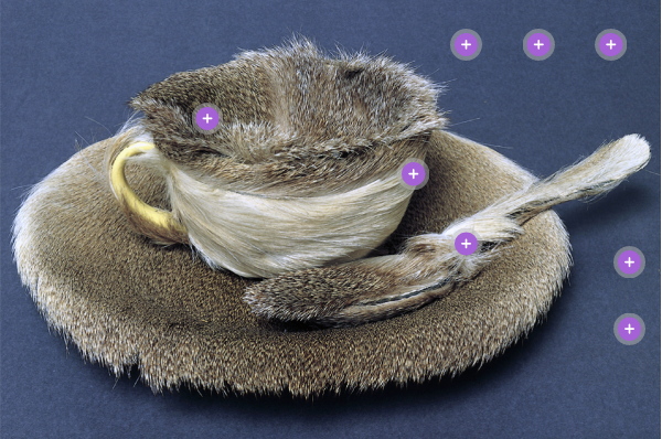 Object Interactive image | Genially