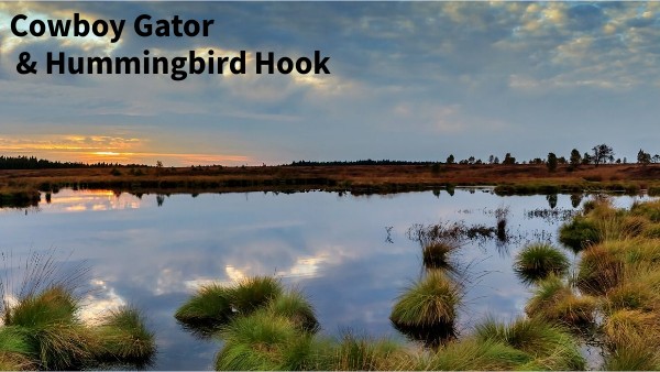 Cowboy Gator & Hummingbird Hook