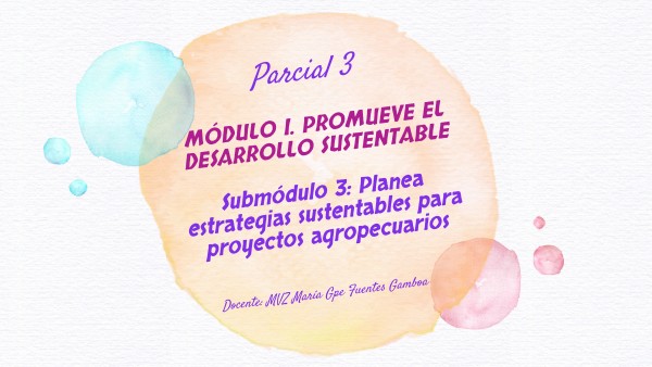 PRESENTACIÓN Parcial 3 Submódulo 3 | Genially