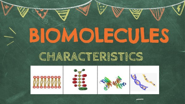 BIOMOLECULES | Genially